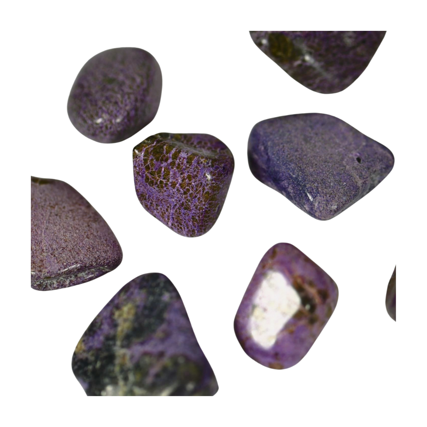 Stitchite - Self-Awareness