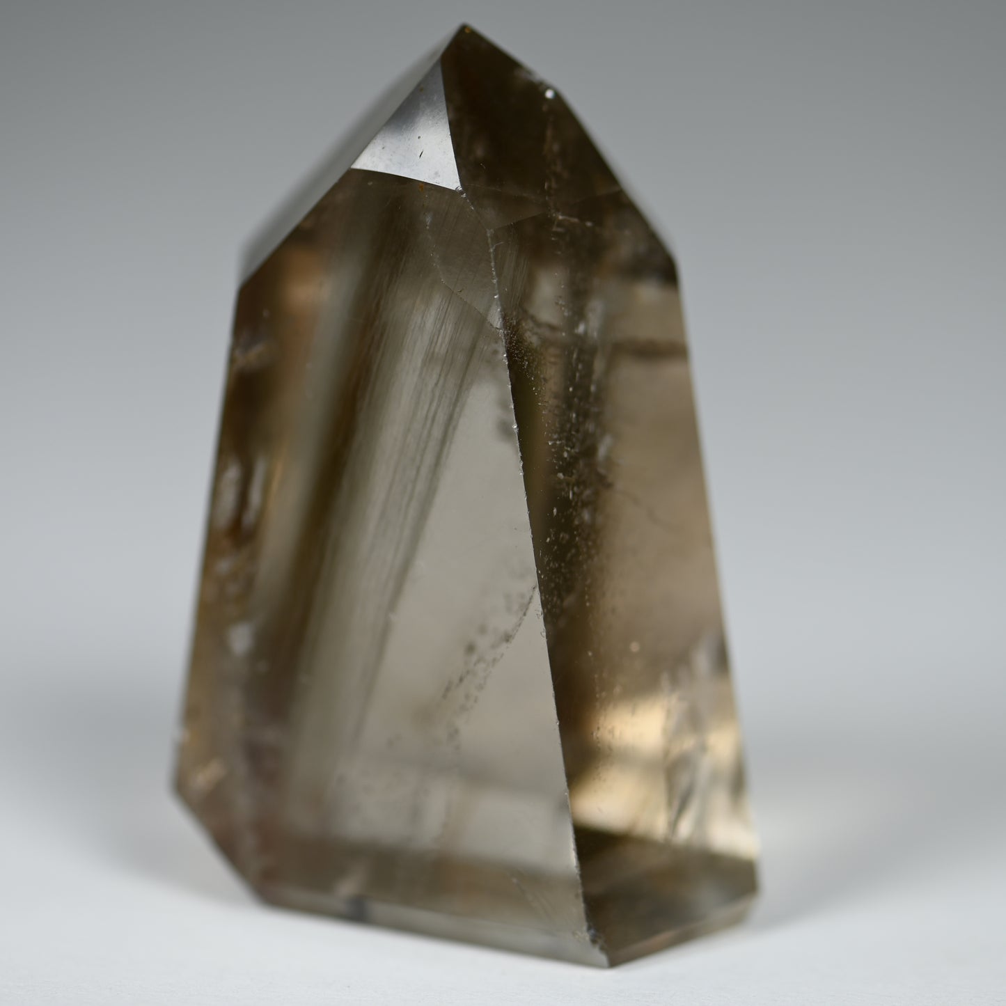 Mossy Roots Amphibole Quartz Tower