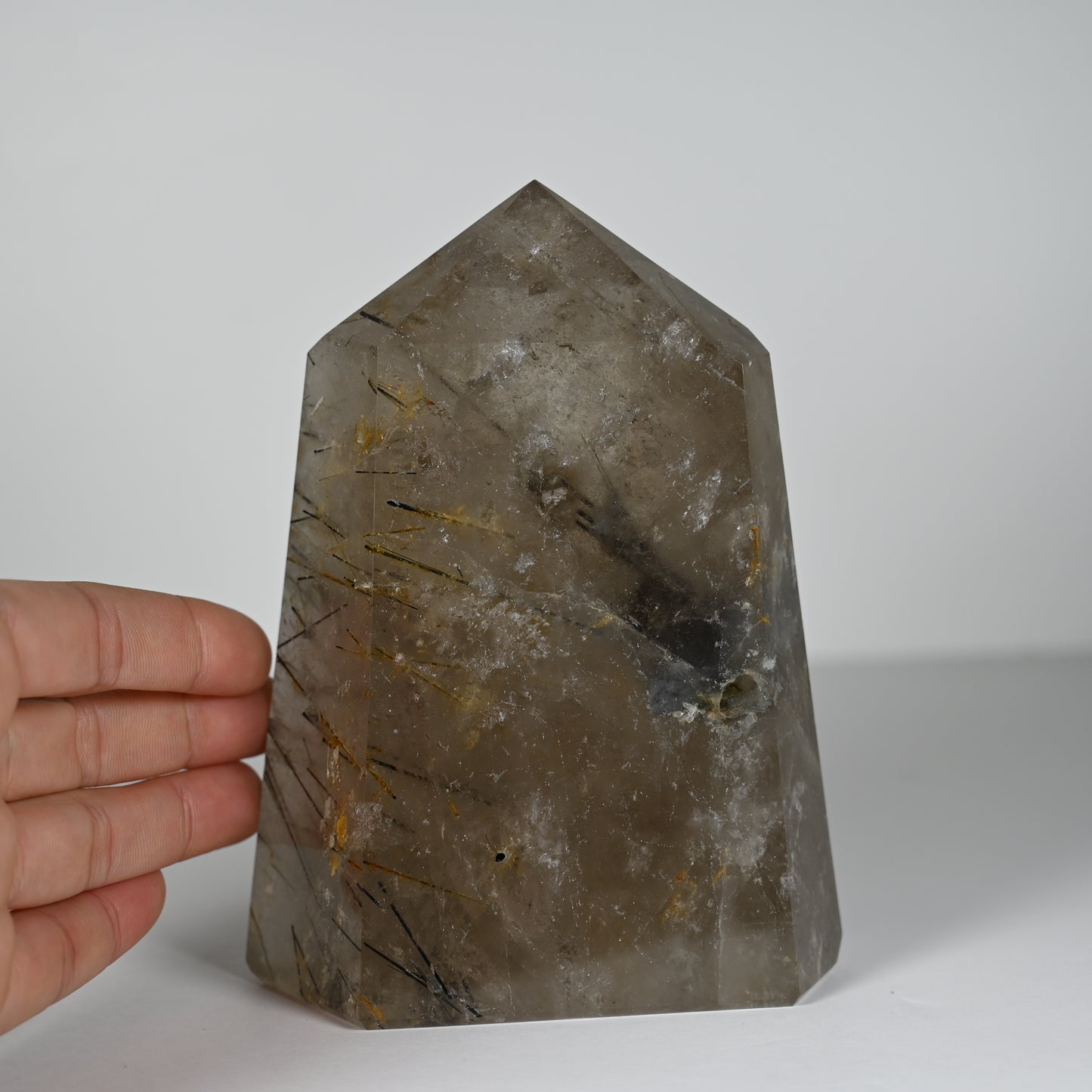 Black Tourmaline in Smoky Quartz Tower