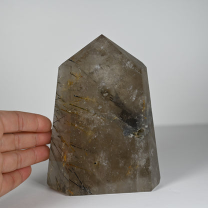 Black Tourmaline in Smoky Quartz Tower