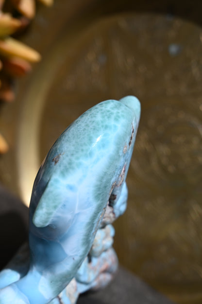Calming Larimar Dolphin Carving